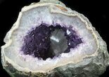Deep Amethyst Crystal Geode - Uruguay #36904-2